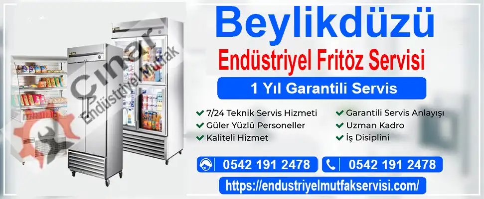 Beylikdüzü endüstriyel fritöz servisi