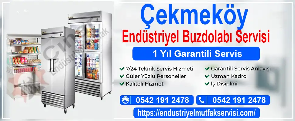 Çekmeköy endüstriyel buzdolabı servisi