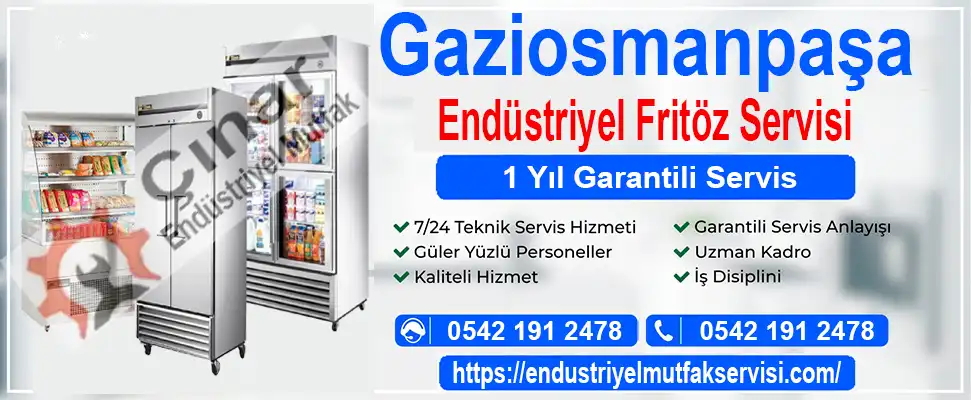 Gaziosmanpaşa endüstriyel fritöz servisi