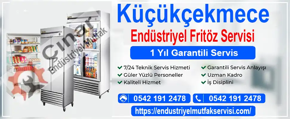 Küçükçekmece endüstriyel fritöz servisi