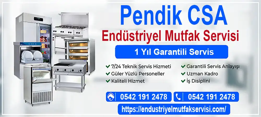Pendik csa mutfak servisi